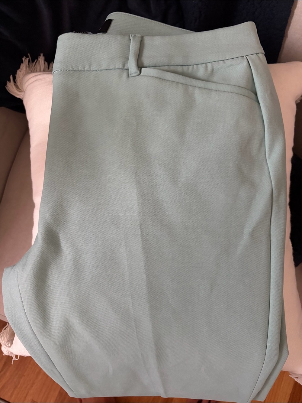 White House Black Market Mint Green Slim Ankle Trousers